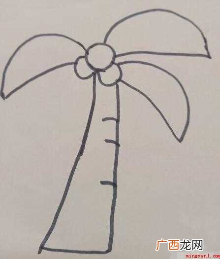 椰子树简笔画怎么画【图文】 椰子树简笔画怎么画