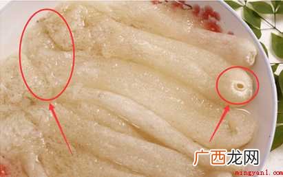 竹荪怎样泡发