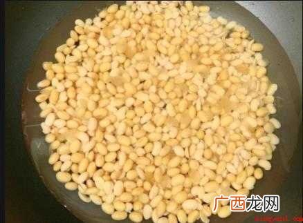 豆豉怎样制作