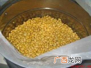 豆豉怎样制作