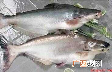怎样做巴沙鱼