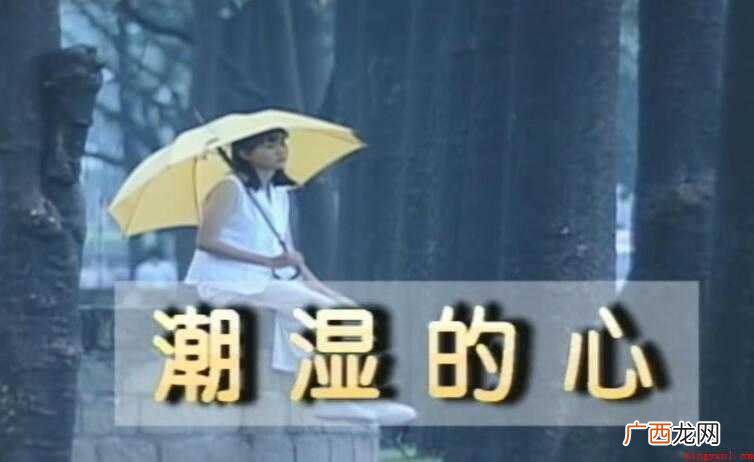 《潮湿的心》的歌词是什么