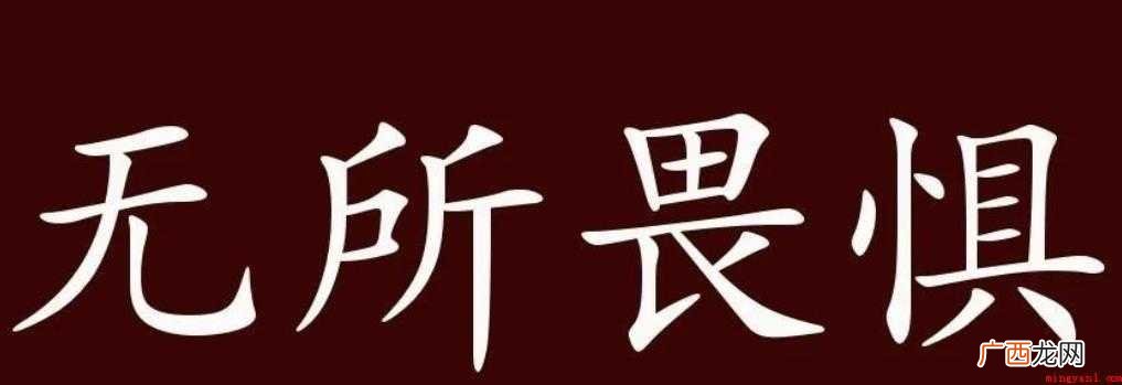 无所畏惧的意思是什么