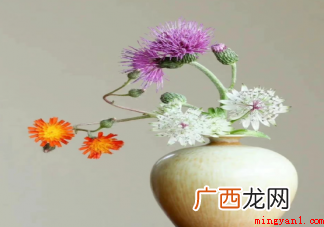 年轻人为何愿意为鲜花买单