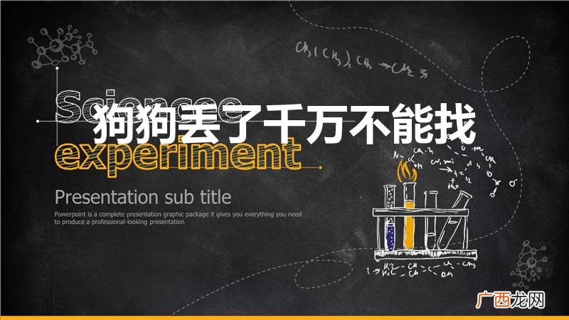 为什么狗狗丢了千万不能找 狗狗丢了千万不能找