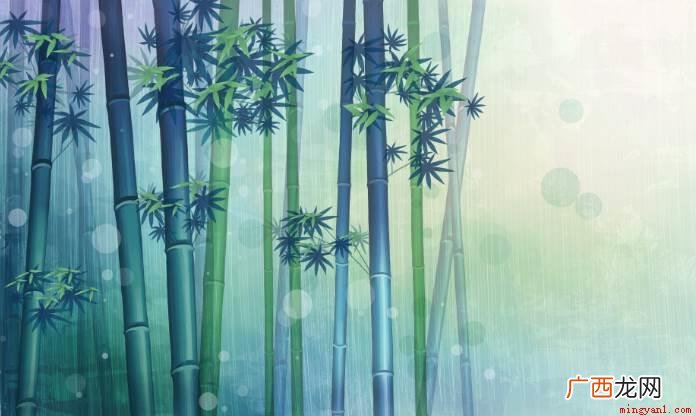 草竹子是草,不是树。 竹子是草还是树