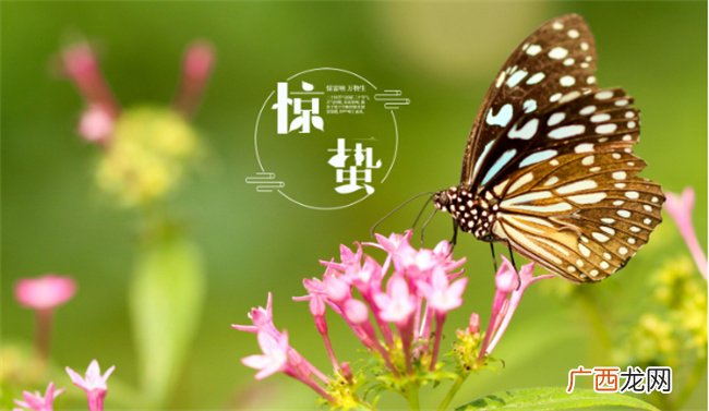 ?惊蛰节气的含义是什么 惊蛰节气最大的特点是什么