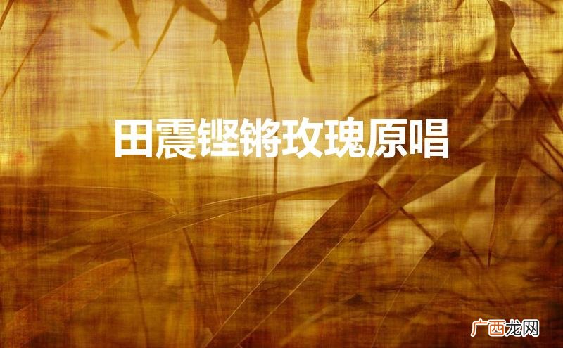 田震铿锵玫瑰原唱时间 田震铿锵玫瑰原唱