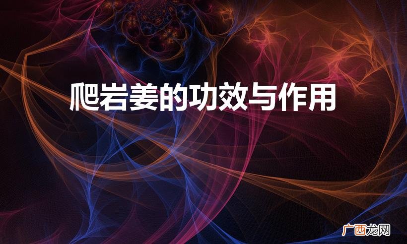 爬岩姜泡酒怎么泡 爬岩姜的功效与作用