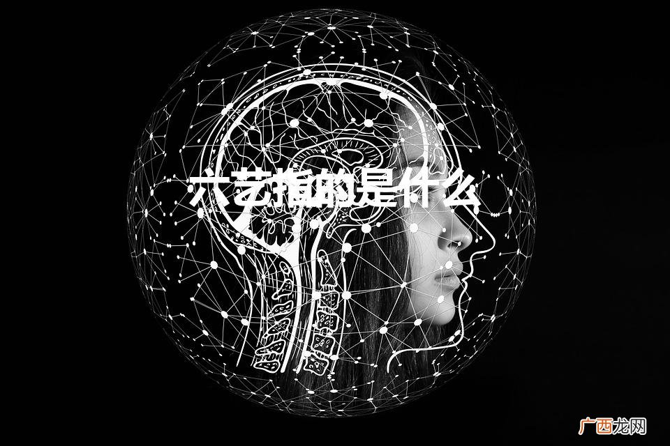 古代的六艺分别指哪些 六艺指的是什么