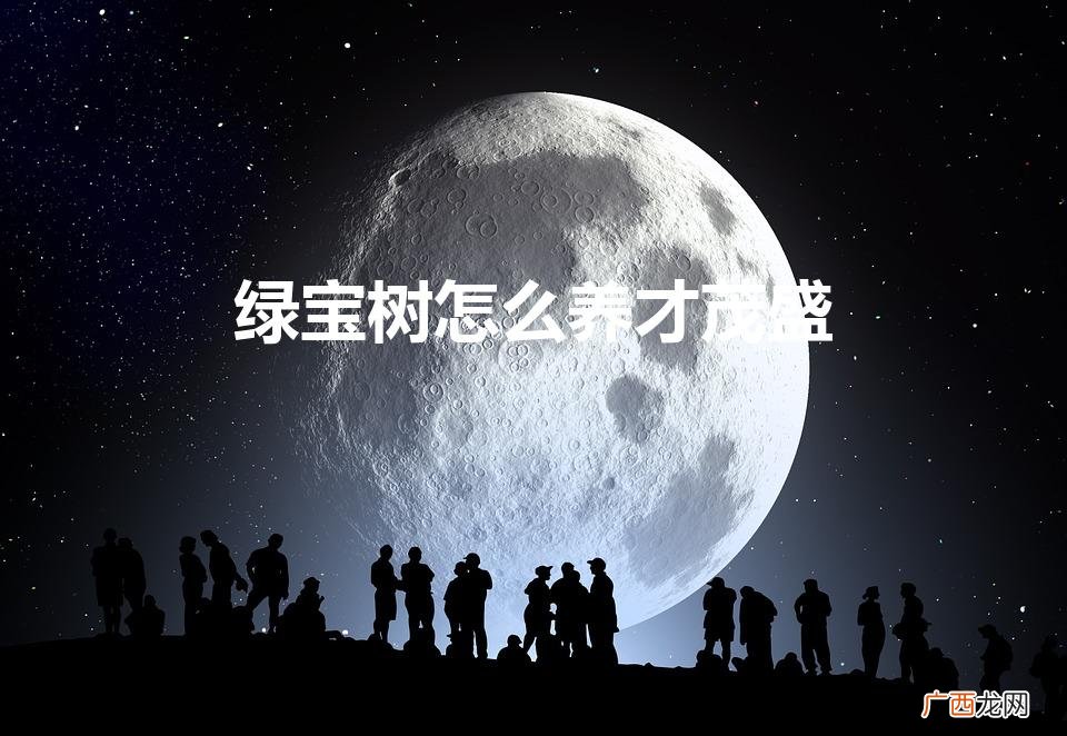 绿宝树怎么养才茂盛（绿宝树怎么种植)