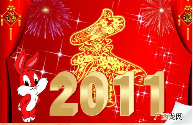 ?2011年是什么年 2011年被称为什么年