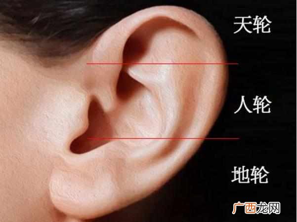 耳朵富贵相分析 耳朵面相分析图解