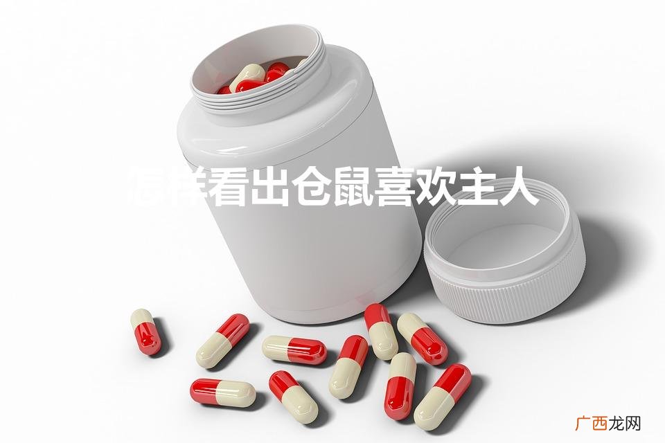 怎样看出仓鼠喜欢你 怎样看出仓鼠喜欢主人