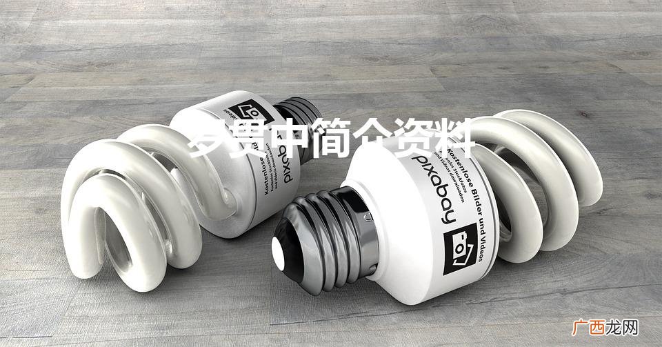 罗贯中简介：传奇小说大师 罗贯中简介资料