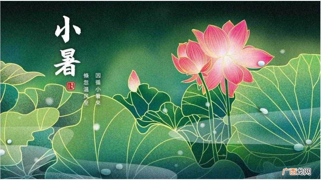 24节气适合喝什么茶 二十四节气养生茶单