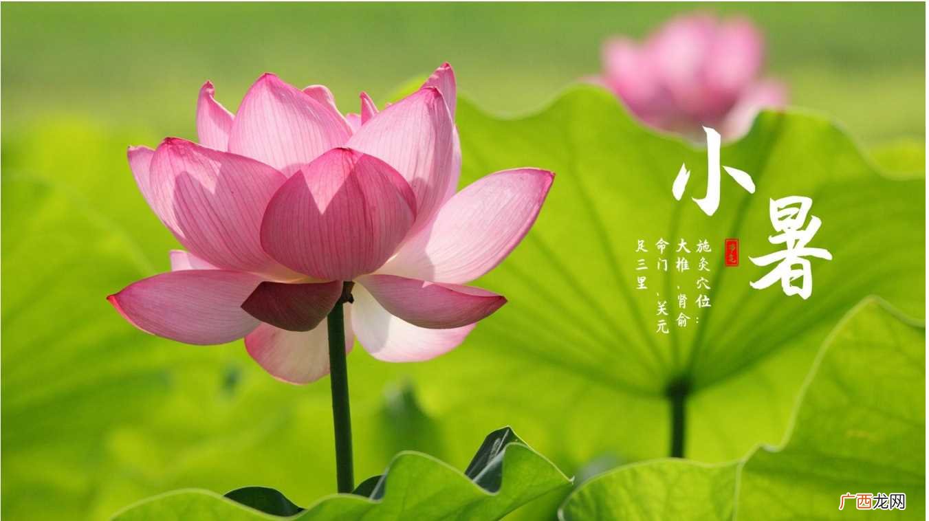 小暑节气是入伏吗 入伏和哪个节气最近