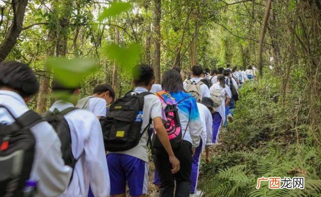 暑期游新玩法折射消费的新趋势 最新潮的旅游方式有哪些