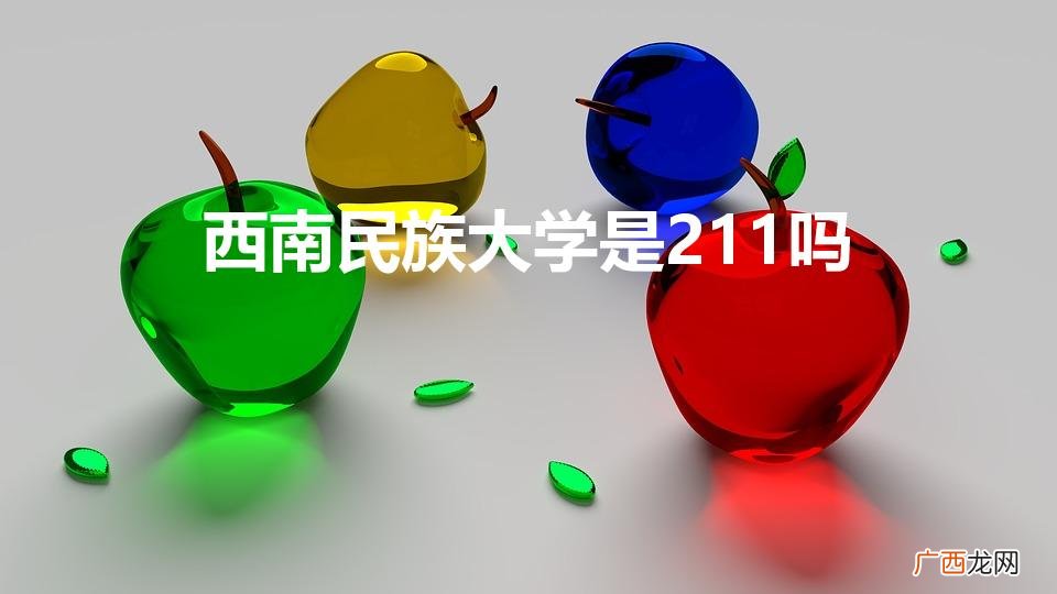 西南民族大学是211吗或985 西南民族大学是211吗
