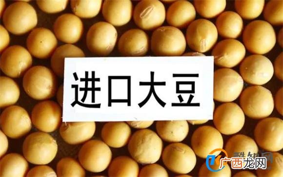 大豆进口为何大幅增长 进口会不会对国内市场造成冲击_酷知科普