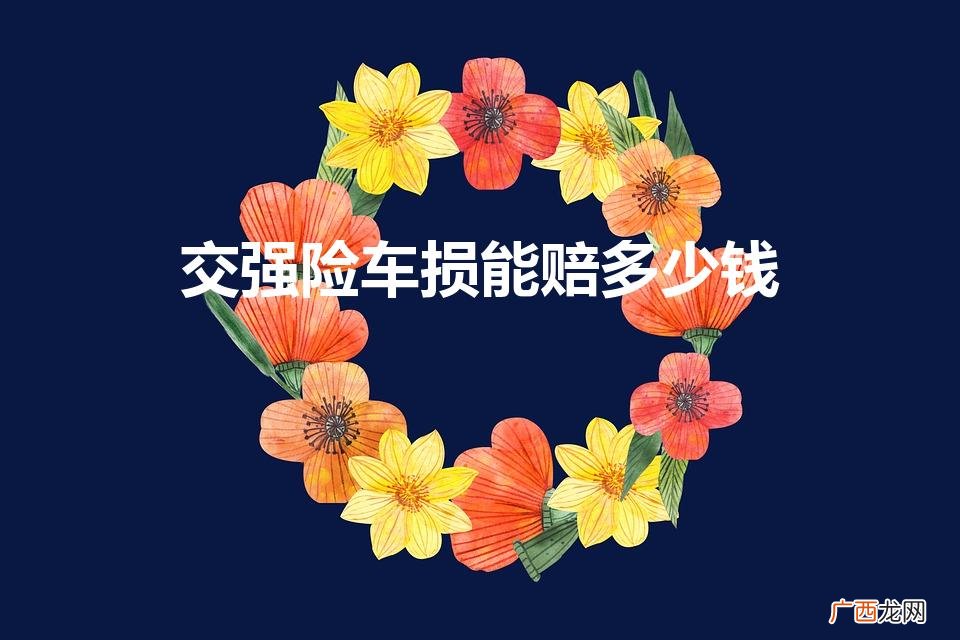 交强险车损可以赔多少 交强险车损能赔多少钱