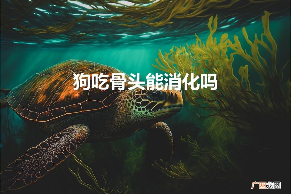 小狗吞了骨头能消化吗 狗吃骨头能消化吗