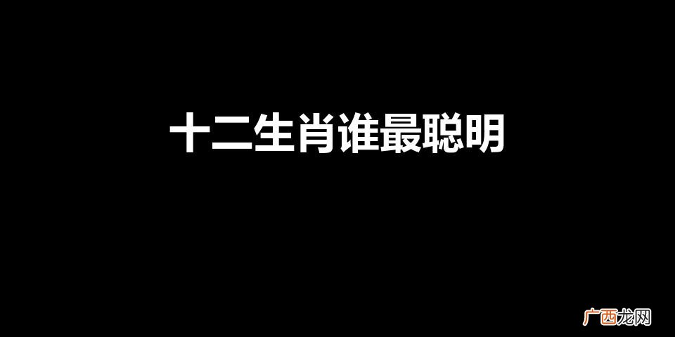 十二生肖中谁最聪明 十二生肖谁最聪明