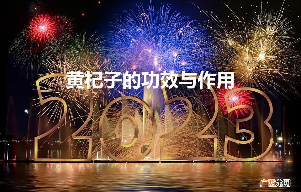 黄芪枸杞子的作用与功效 黄杞子的功效与作用