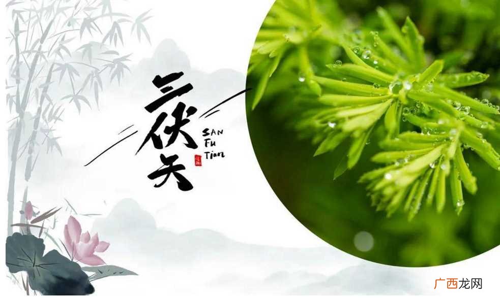 三伏天晒背时间表 三伏天晒背的最好时间