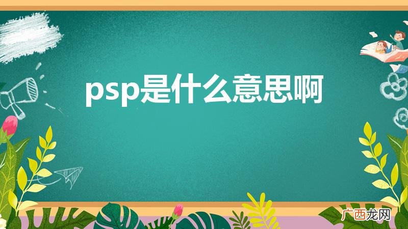PSP是什么意思 psp是什么意思啊