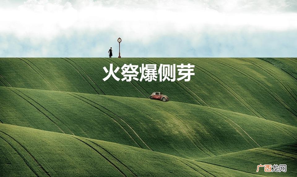 火祭三十多度的秋天能砍头移栽吗 火祭爆侧芽