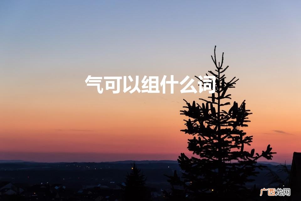 气组什么词 气可以组什么词
