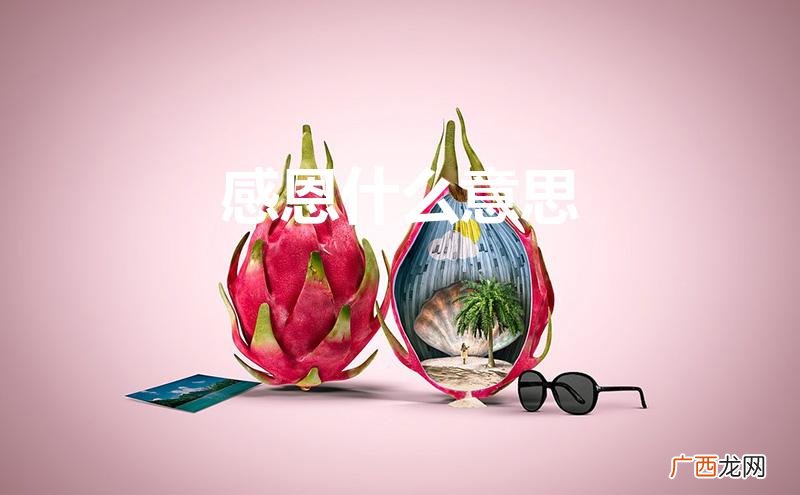 女生发感恩什么意思 感恩什么意思