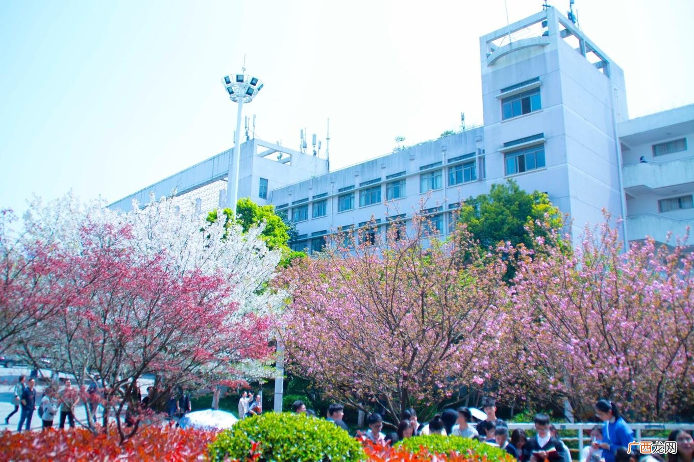 中南林业科技大学是211或者985吗 中南林业科技大学是几本