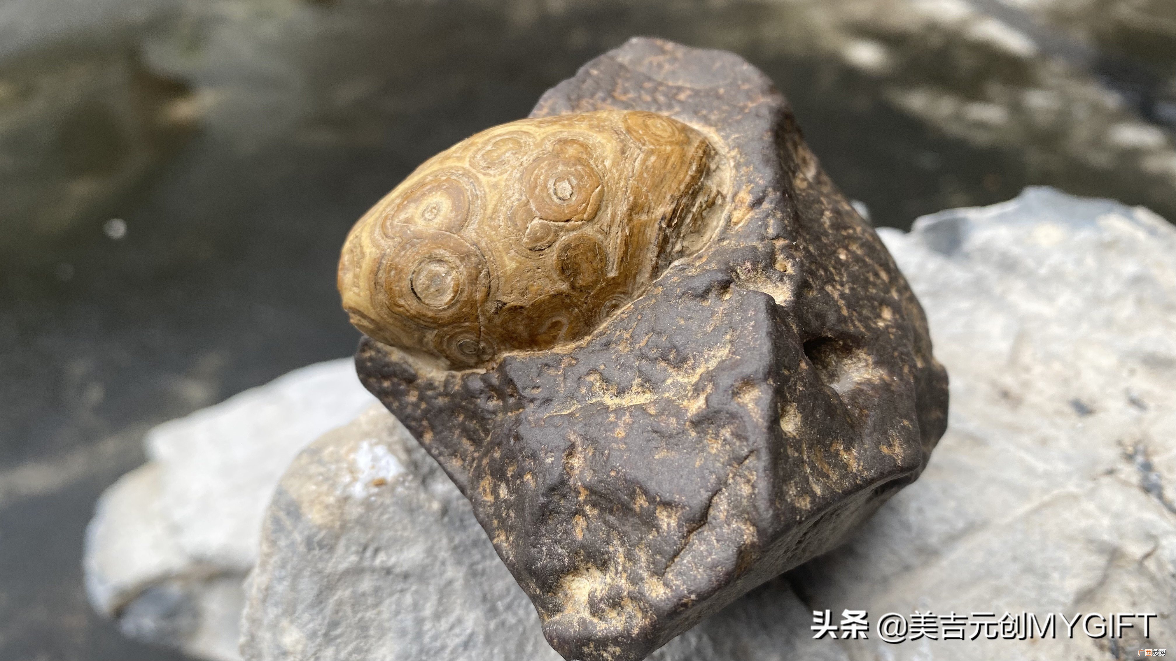 地球上唯一多种材质共生的宝石 什么石头最值钱最珍贵