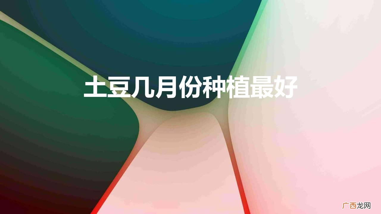 土豆几月份种合适? 土豆几月份种植最好