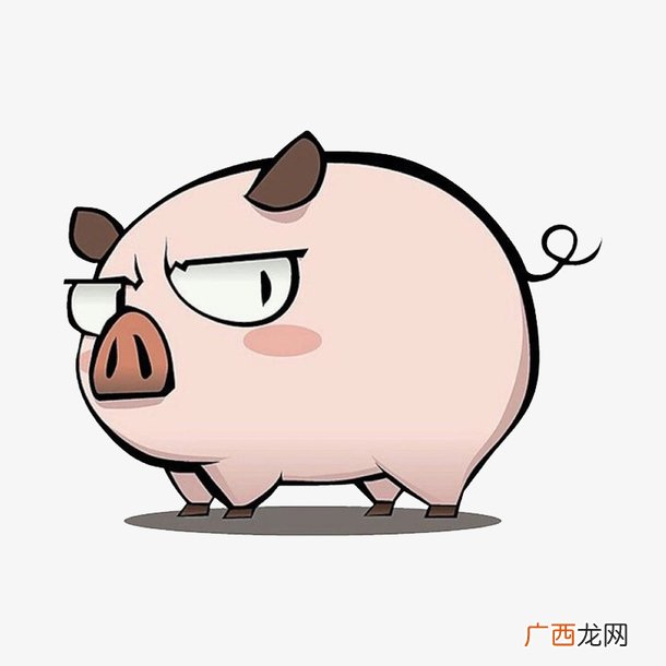 请问:1971年的猪是什么命,71年属猪女一生运势如何