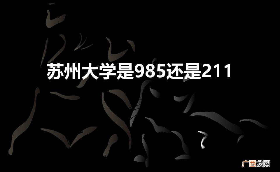 苏州大学是985还是211（苏州大专学校有哪些学校)
