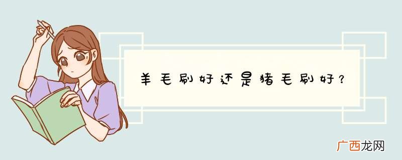 羊毛刷好还是猪毛刷好？