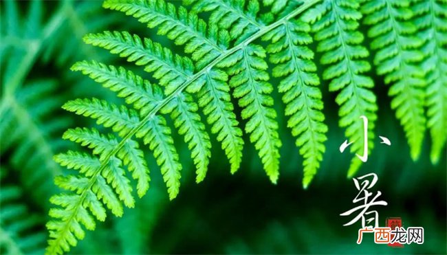 小暑节气做什么农事活动 民间吃“三宝”指哪三宝