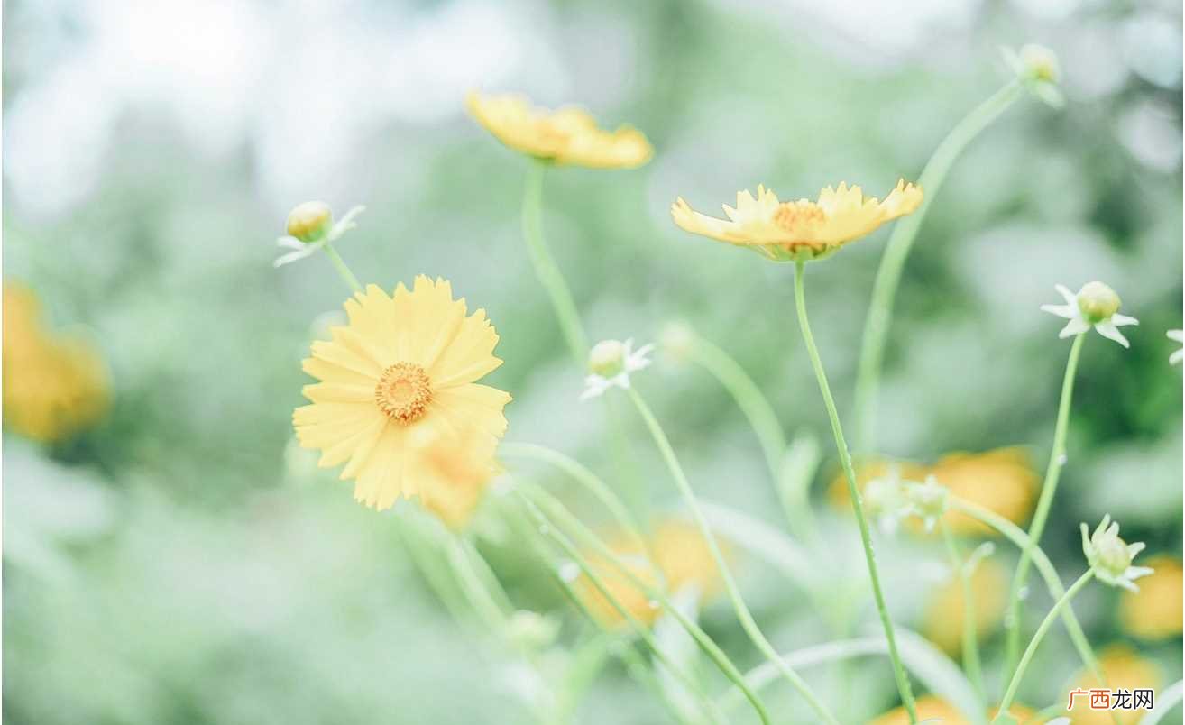 希望以后生活越来越好的网名 对未来充满希望的昵称