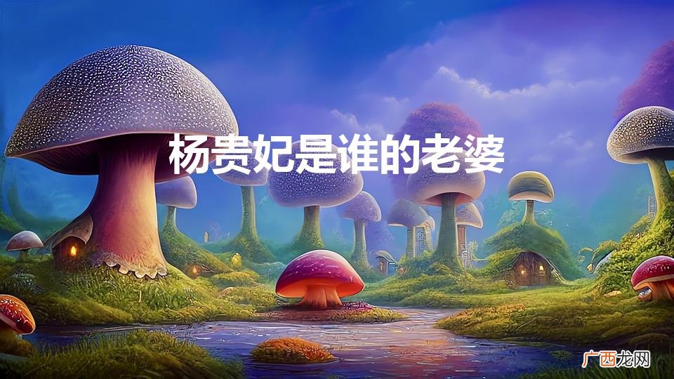 杨贵妃是谁的老婆（唐朝历代国君一览表)