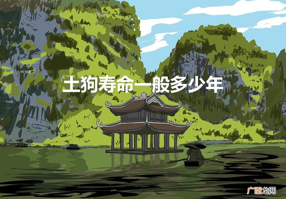 一般的土狗能活多少年 土狗寿命一般多少年