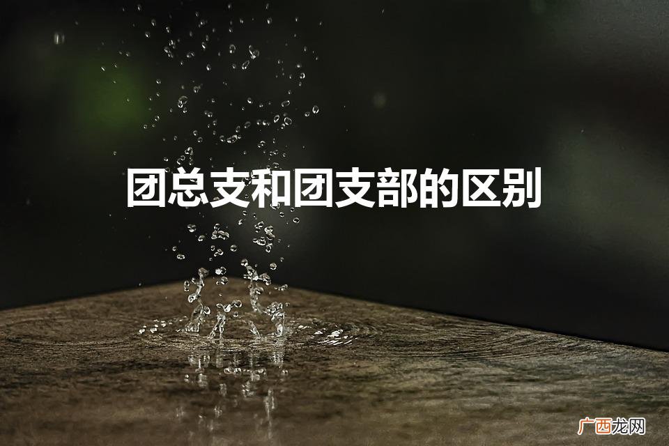 团总支和团支部,团委什么区别 团总支和团支部的区别