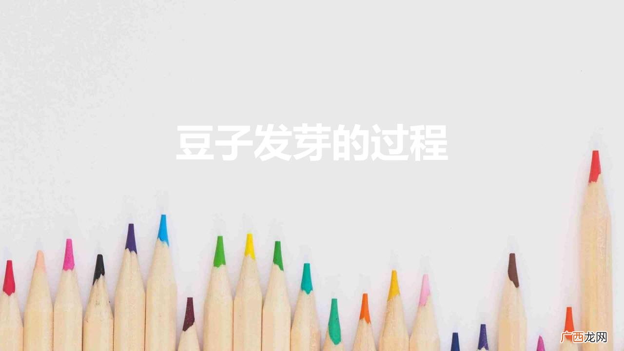 观察日记绿豆发芽日记 豆子发芽的过程
