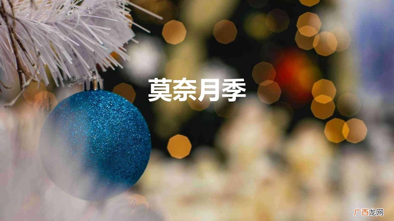 适合新手的“月季莫奈” 莫奈月季