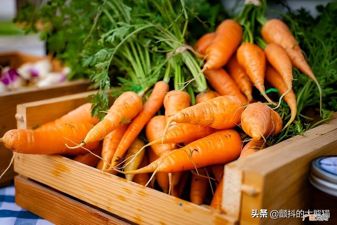 胡萝卜保存一年都不坏的方法 胡萝卜可以放冰箱吗