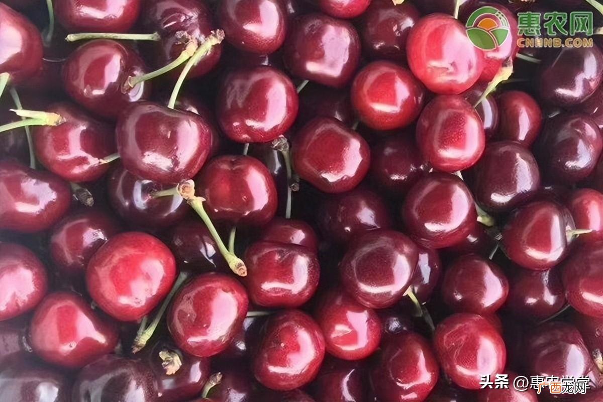 一般每年车厘子几月上市 车厘子季节是哪几个月吃