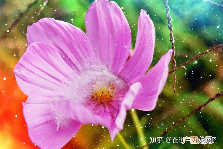 实现理想的根本途径在于什么 如何实现理想和人生价值