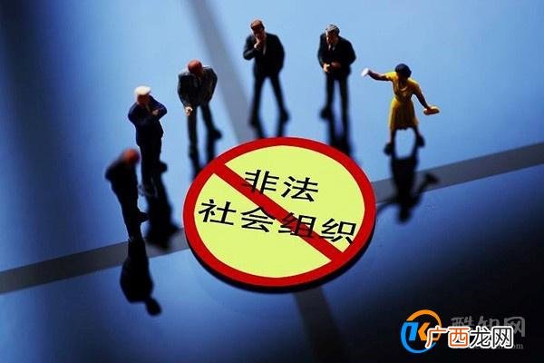 多地再现“李鬼”高校网站 监管回应 如何避免被坑_酷知科普